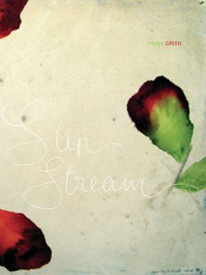 cover image of Slip Stream